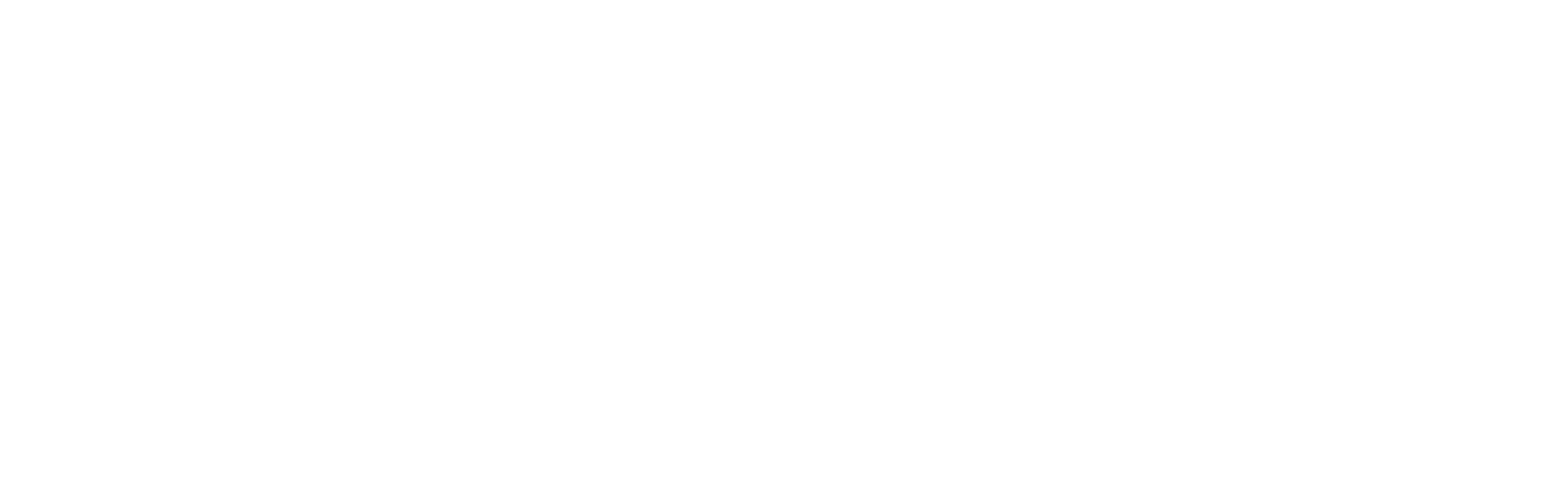 Steans Family Foundation